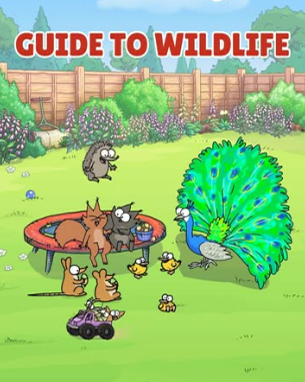 Guide to Wildlife — the garden