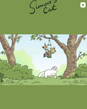 Simon's Cat in the garden
